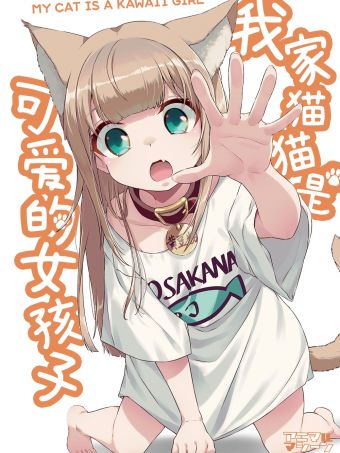 我家猫猫是可爱的女孩子.jpg