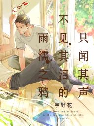只闻其声不见其泪的雨濡之鸦.jpg