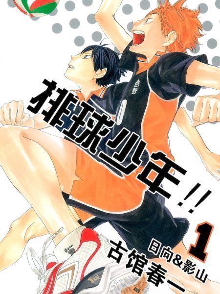 File:排球少年!!(全彩版).jpg