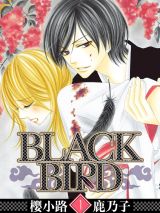 BLACK BIRD~黑鸟恋人-.jpg
