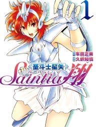 圣斗士星矢 圣斗少女翔.jpg