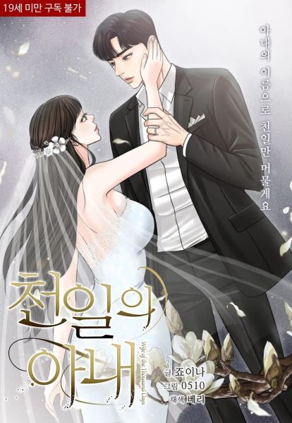 File:契约千日的妻子.jpg