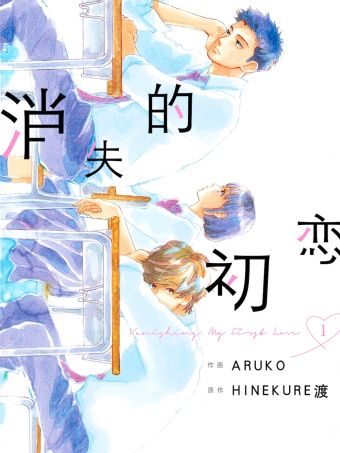 消失的初恋.jpg